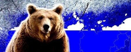 Бурый медведь символ России