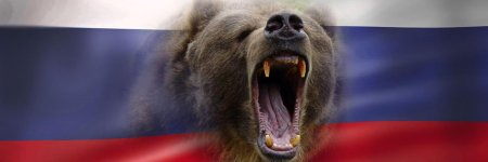 Медведь символ россии