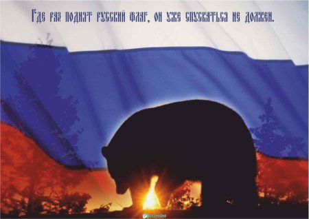 Россия медведь