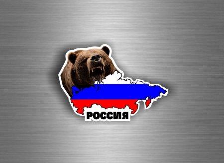 Символ россии медведь
