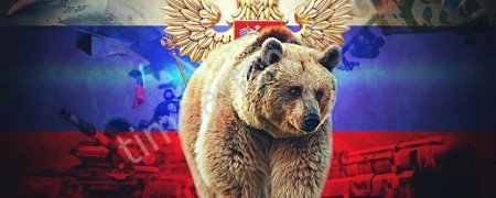 Медведь с флагом россии