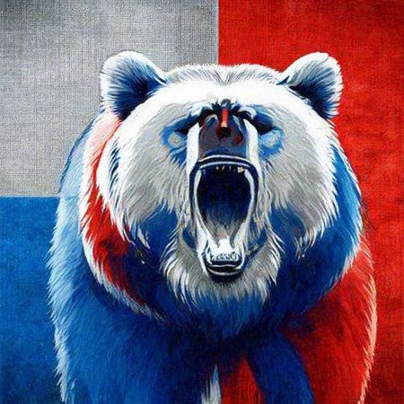 Медведь флаг россии
