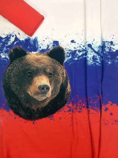 Россия с медведем