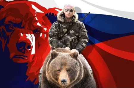 Россия медведь