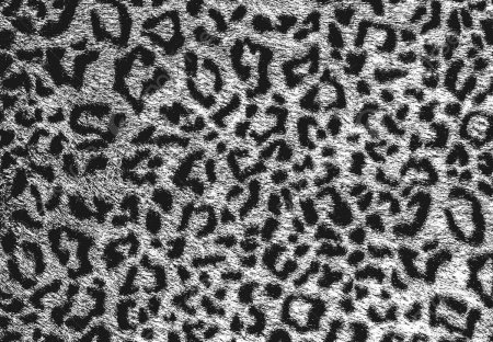 Леопардовый мех