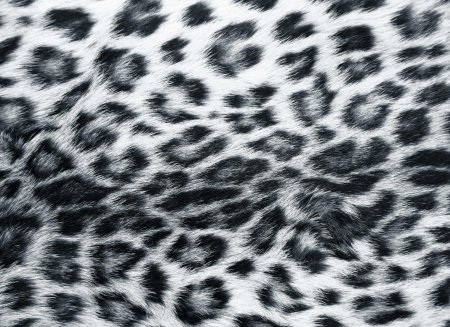 Leopard skin