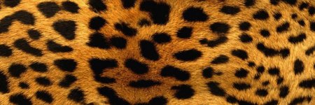 Леопардовая шкура