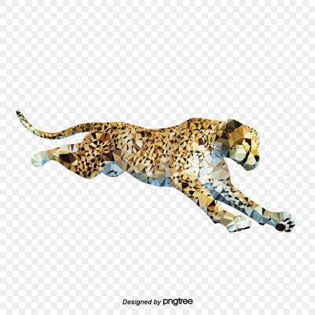 Гепард бежит