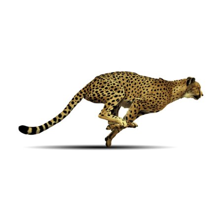 Бегущий гепард