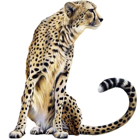 Леопард Оцелот Ягуар