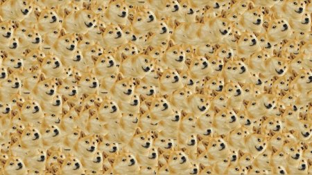 Смешной фон