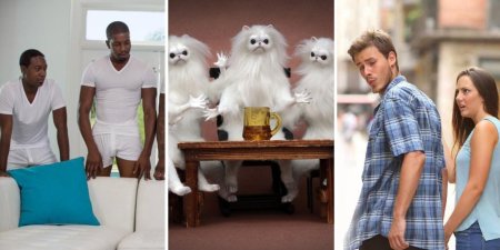 Смешные фоны для Zoom