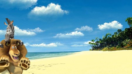 Мадагаскар обои