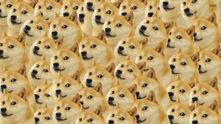 Мем doge