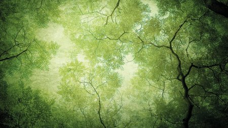 Красивый зеленый