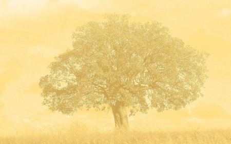 Фон для генеалогического дерева