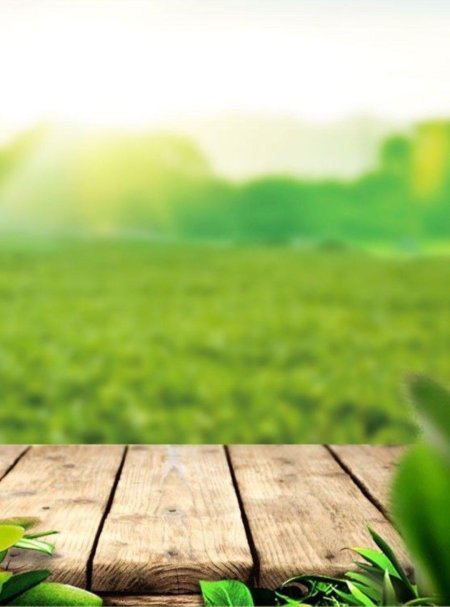 Деревянный фон с зеленью