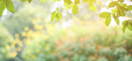 Весенний фон размытый