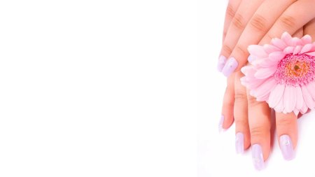 Фон для прайс листа на маникюр