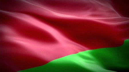 Государственный флаг республики беларусь
