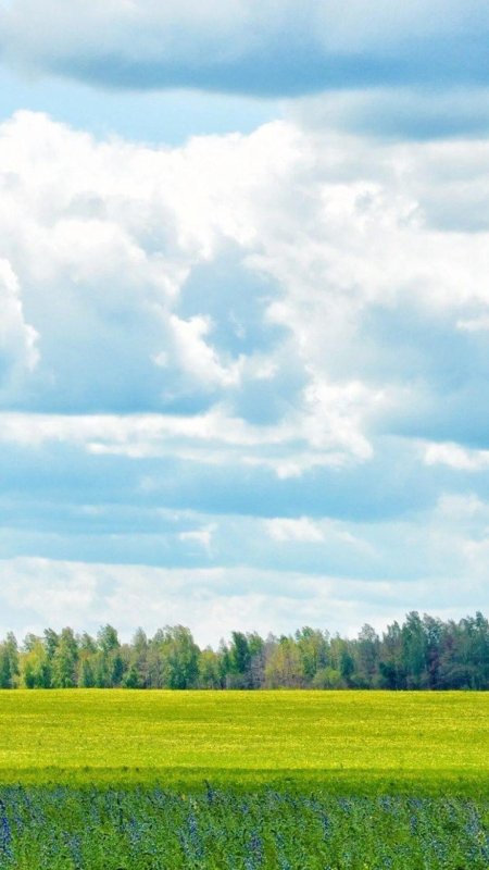 Природа поле