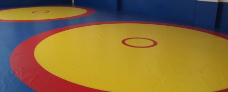 Борцовский ковер греко-Римская борьба