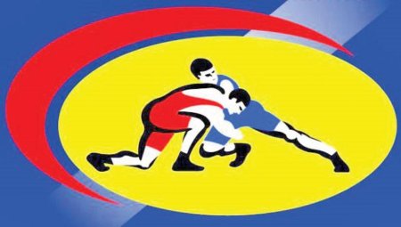 Вольная борьба символика