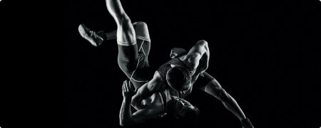 Греко Римская борьба Эстетика