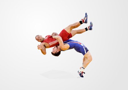 Спорт греко Римская борьба