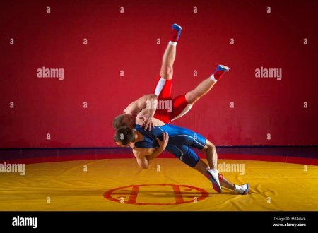 Спортивная борьба