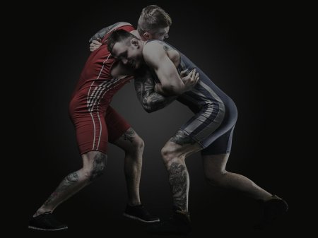 Борьба спорт