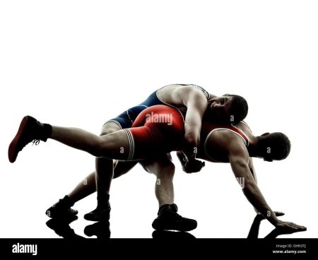 Борцы на белом фоне