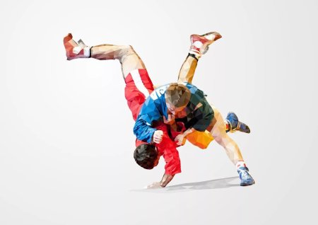 Борьба самбо