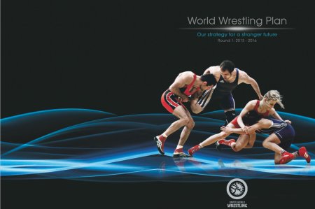 Вольная борьба баннер