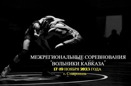 Вольная борьба Эстетика