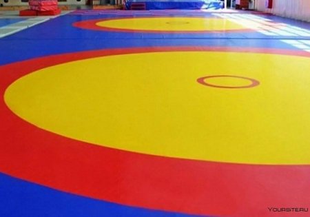 Ковёр борцовский 12х12 м