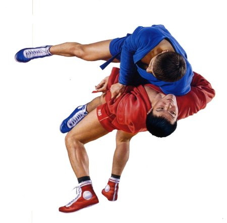 Самбо спорт