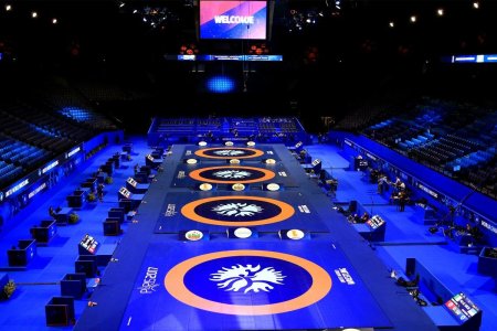 Борцовский ковер uww