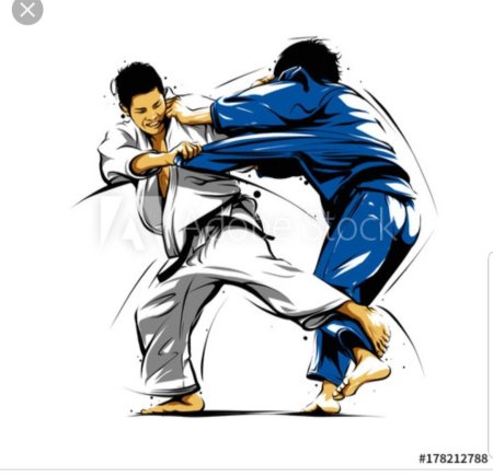 Дзюдо картинки