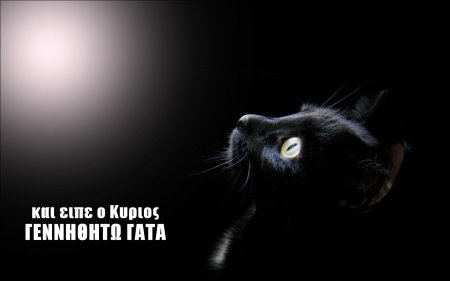 Черная кошка