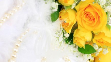 Фон для поздравительной открытки