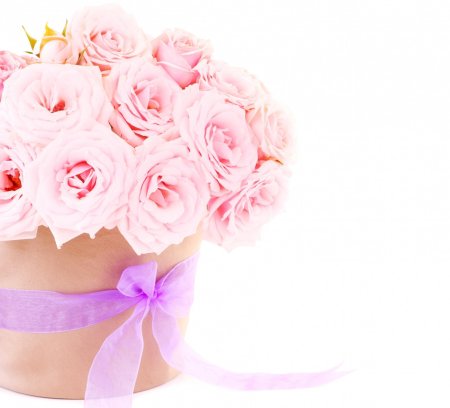 Красивые нежные цветы