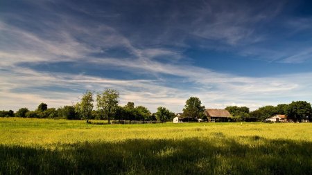 Поле деревня