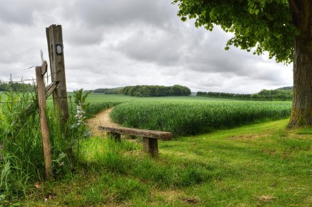 Околица-изгородь вокруг деревни