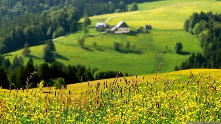 Природа пейзаж