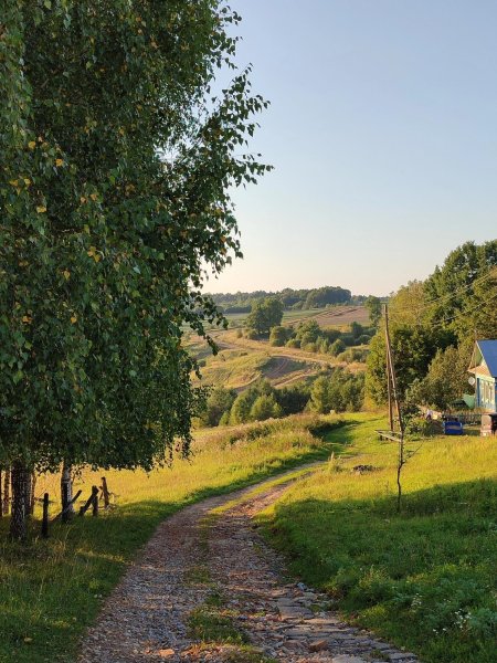 Савкина гора пушкинские горы