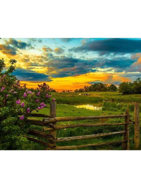 Природа пейзаж