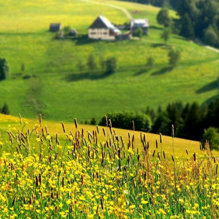Пейзажи швейцарии