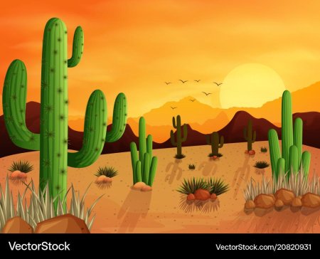 Пустыня кактус