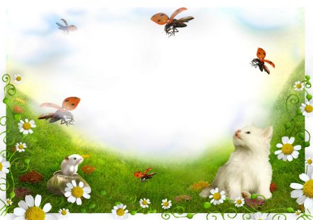 Фон для фотоколлажа